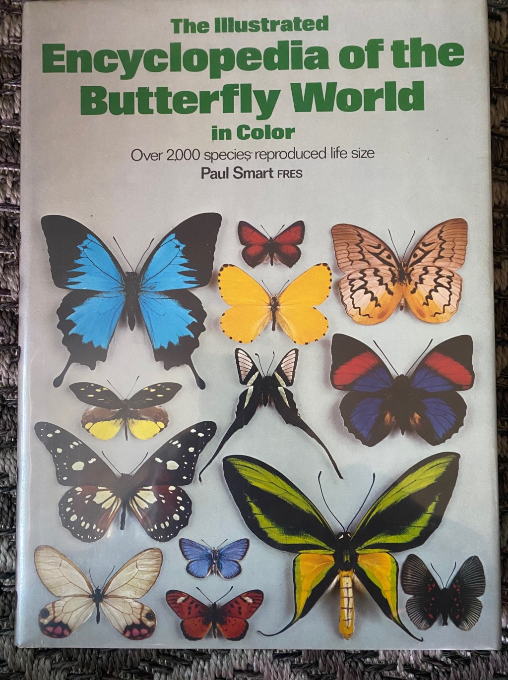 The Museum in a Volume: Why Paul Smart’s Encyclopedia Remains the Gold Standard of Lepidopterology.